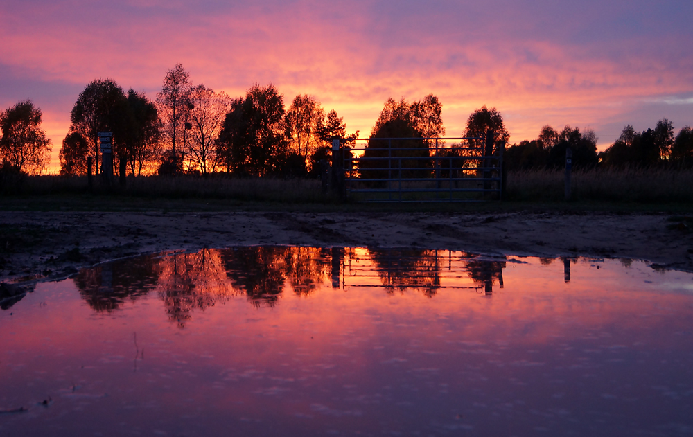 Colours of the Sky