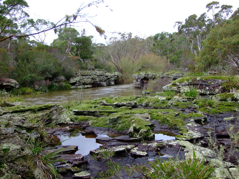 Colours of the Wingecaribee River