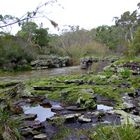 Colours of the Wingecaribee River