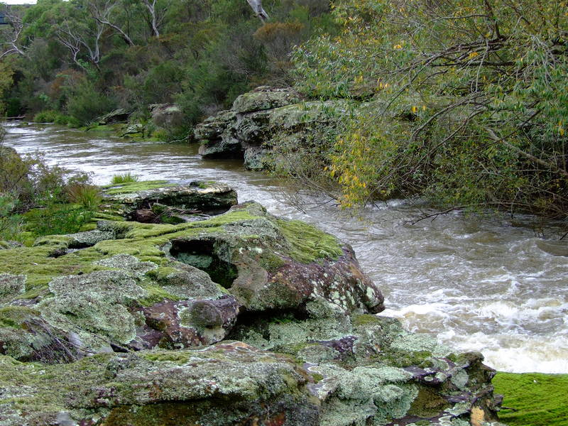 Colours of the Wingercaribee River 2