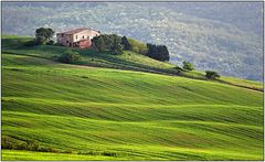 Colours of Tuscany