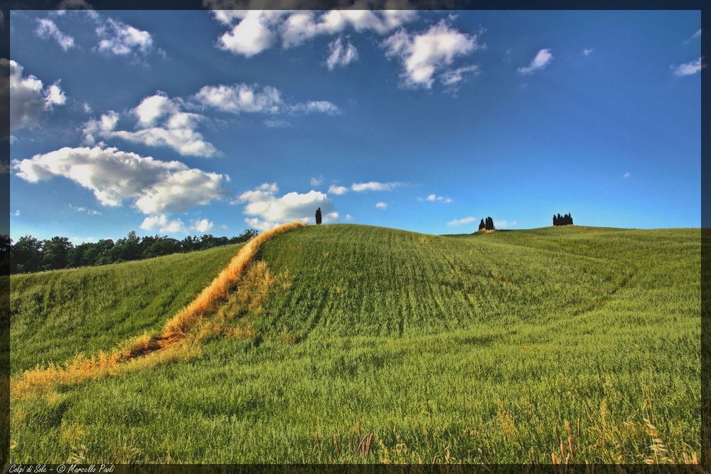 Colpi di Sole