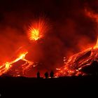 colpo di fuoco - fiore di terra