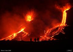 colpo di fuoco - fiore di terra