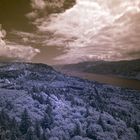 columbia gorge I