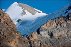 [ Columbia Icefield ]