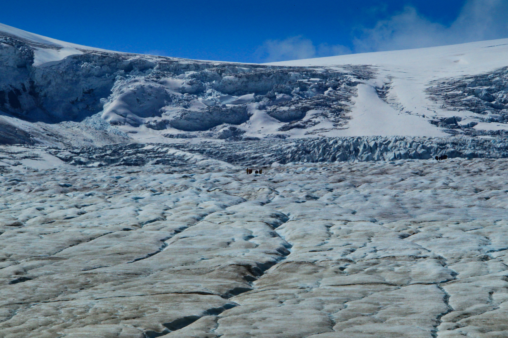 Columbia Icefield 3