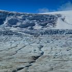 Columbia Icefield 3