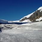 Columbia Icefield