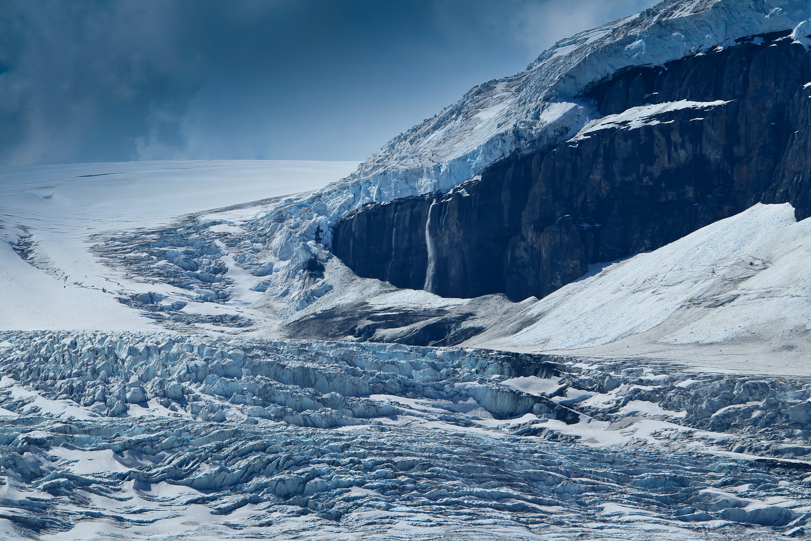 Columbia Icefield 5