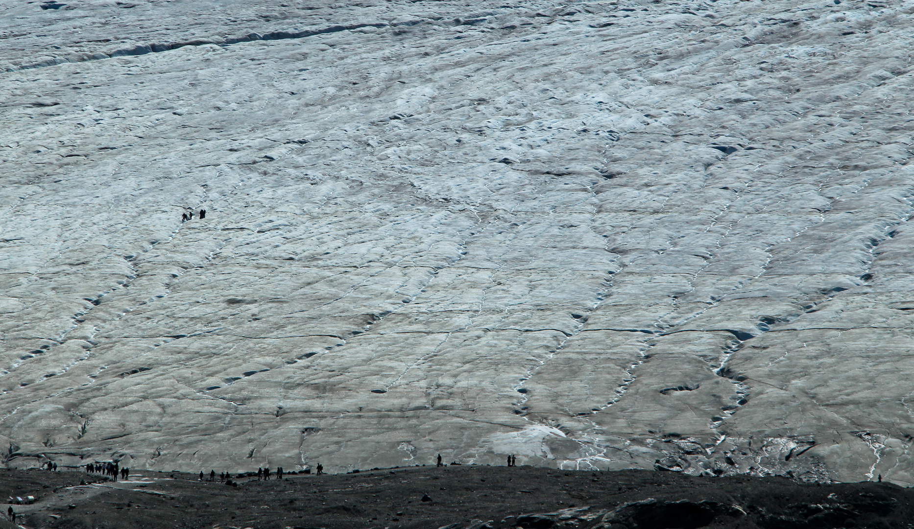 Columbia Icefield 6