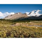 [ Columbia Icefield ]