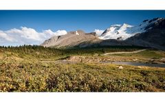 [ Columbia Icefield ]