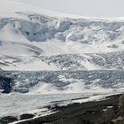 Columbia Icefield