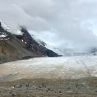 Columbia Icefield