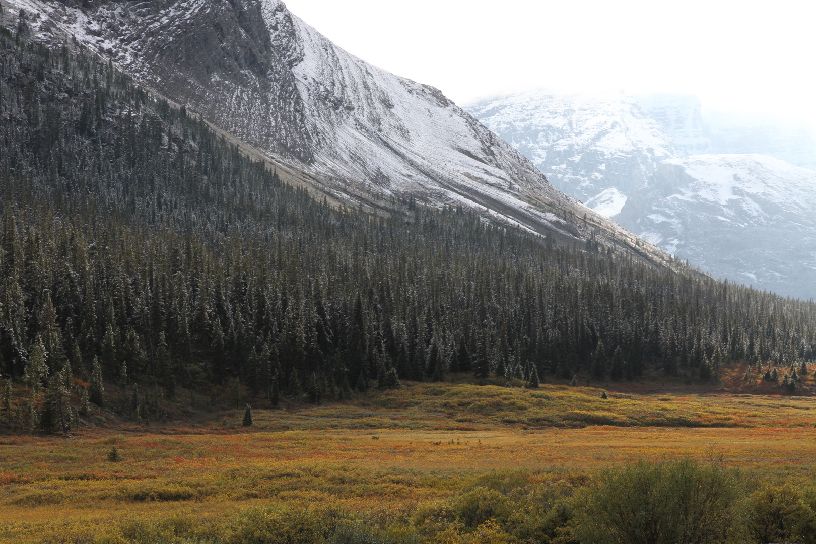 Columbia Icefield / Jasper