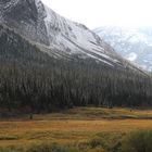 Columbia Icefield / Jasper