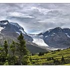 Columbia Icefield Pan