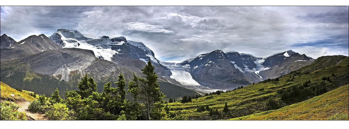 Columbia Icefield Pan