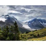 Columbia Icefield: Panorama