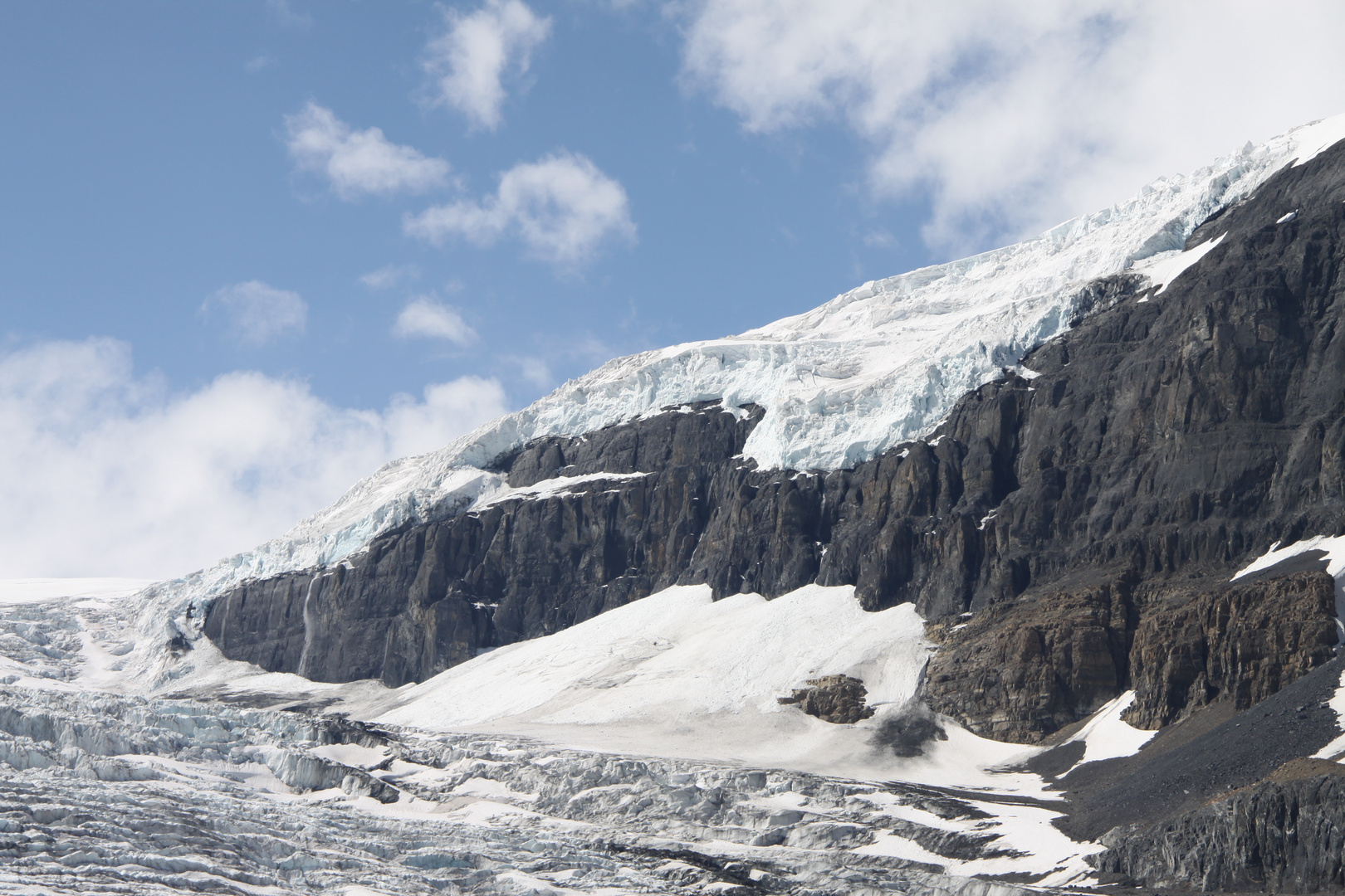 Columbia Icefields