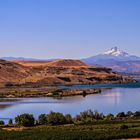 Columbia River Gorge