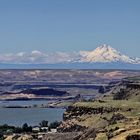 Columbia River - Mt.Hood