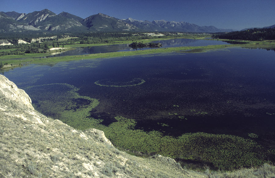 Columbia Wetlands, British Columbia