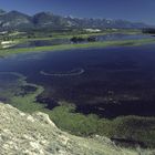 Columbia Wetlands, British Columbia