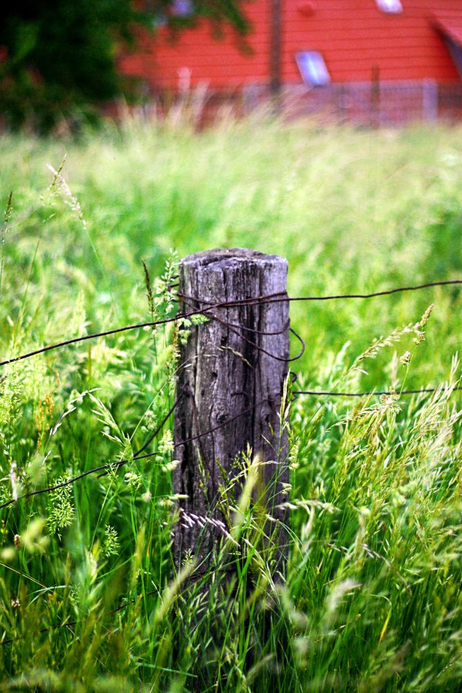 column and green