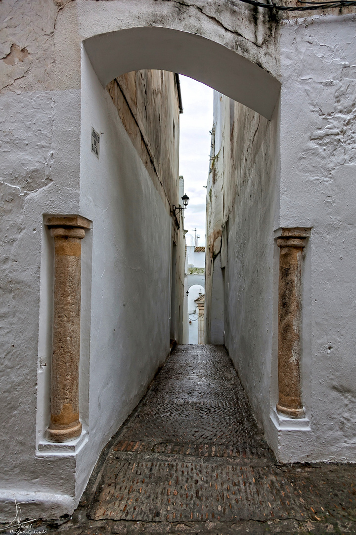 Columnas