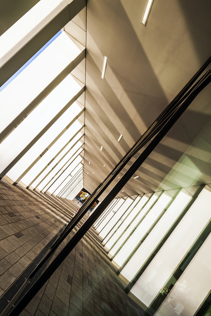 columns, reflected