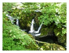 Colwith Force