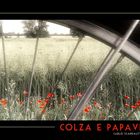 Colza e papaveri