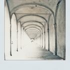 "Comacchio" polaroid sx70