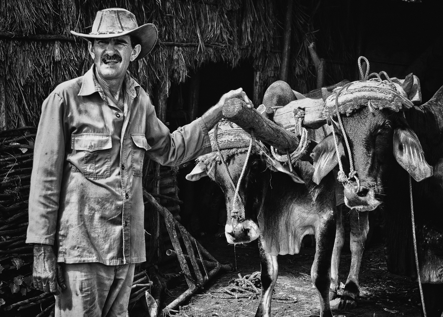 Comanchero mit Ochsengespann