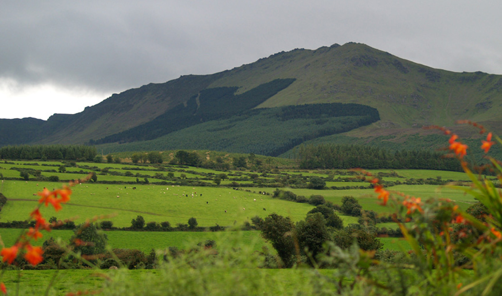 Comaragh mountains, Co. Waterford, Ireland