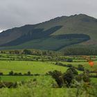 Comaragh mountains, Co. Waterford, Ireland