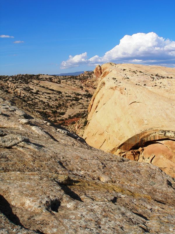 Comb Ridge Utah