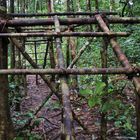 Combat dans la forêt équatoriale