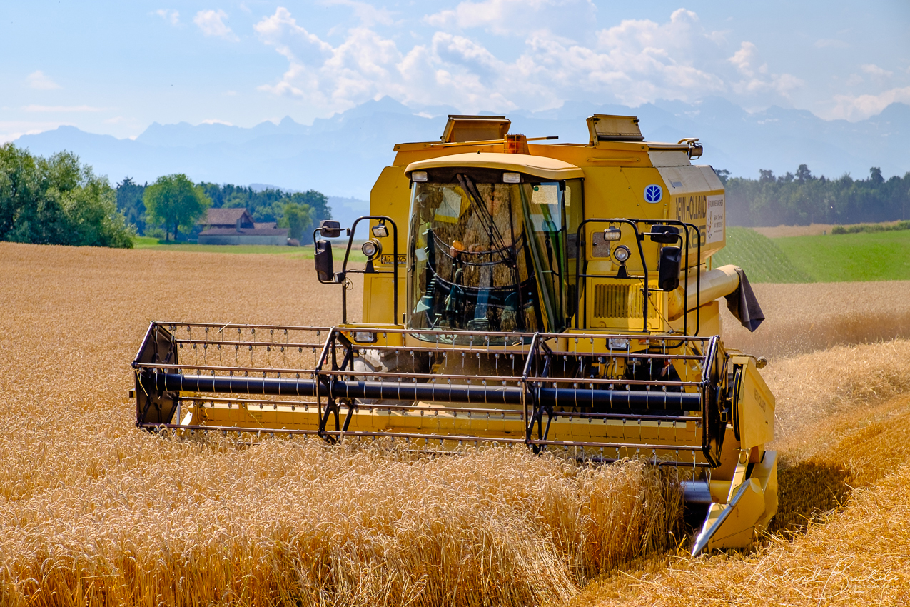 Combine harvester