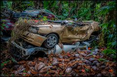 Combined compost pile and wrecking yard - meine Version