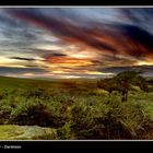 Combstone tor - Dartmoor -Devon, England. (mein heimat)