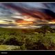 Combstone tor - Dartmoor -Devon, England. (mein heimat)