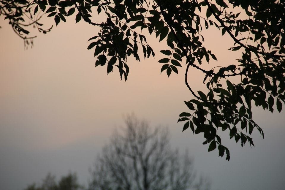 Come attraverso la natura si possano trasmettere tante emozioni