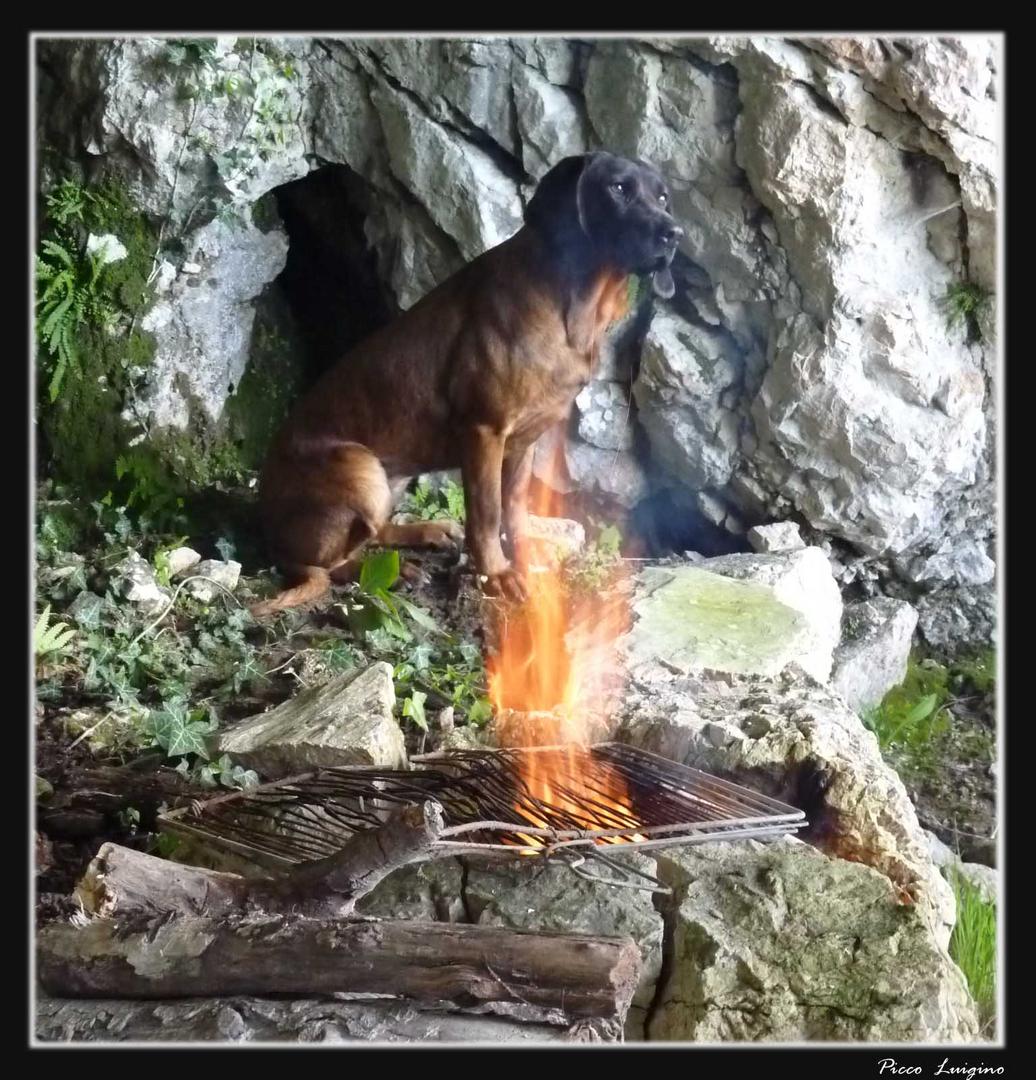 Come cucinarsi il cane