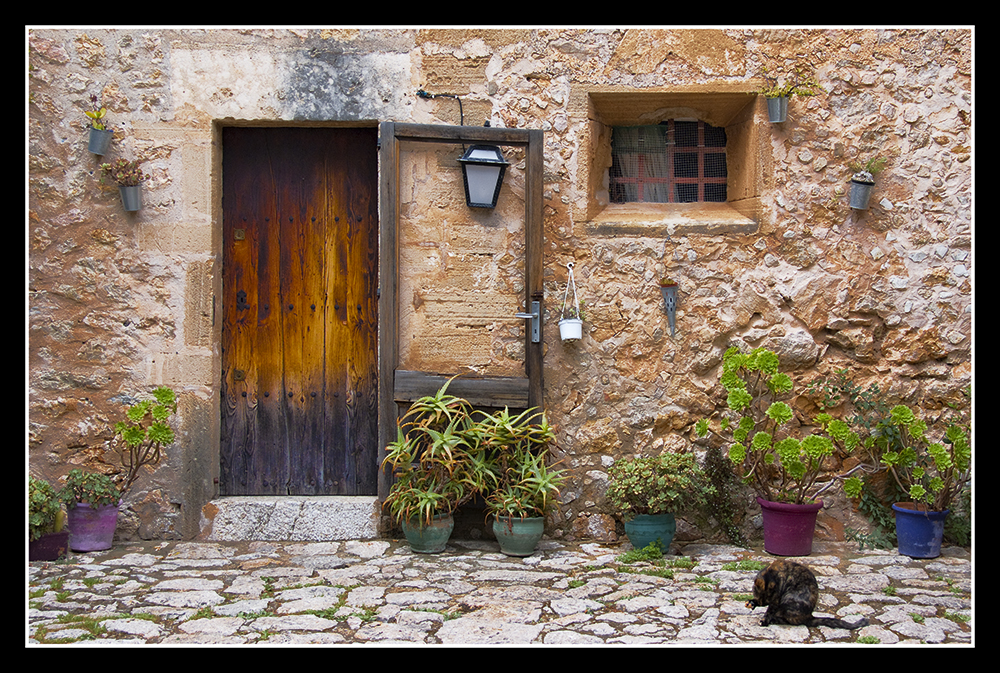 Come in... Pollenca, Mallorca