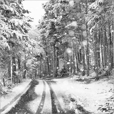  ... Come la neve non fa rumore.