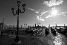 Acqua alta a Venezia