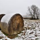 come paglia alla neve